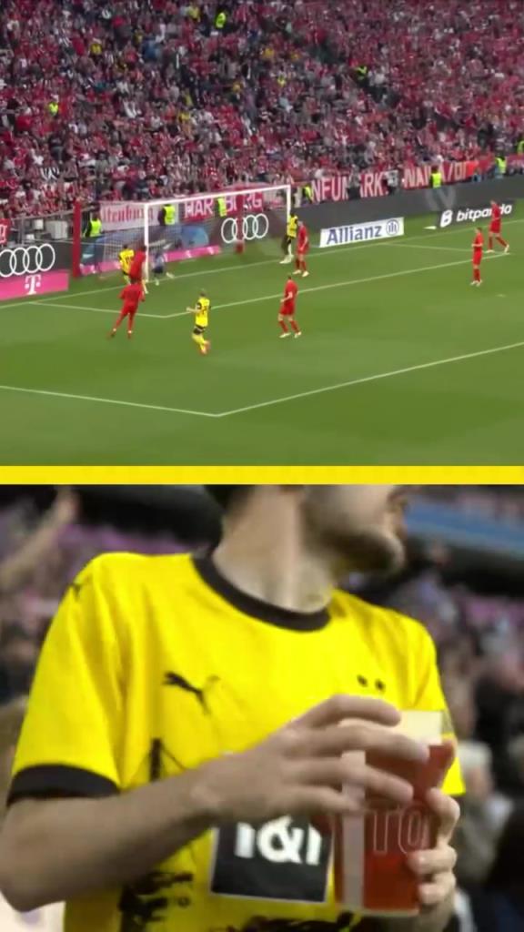 勇者無懼！這是真多特球迷！在拜仁球迷區(qū)一個人肆意慶祝！